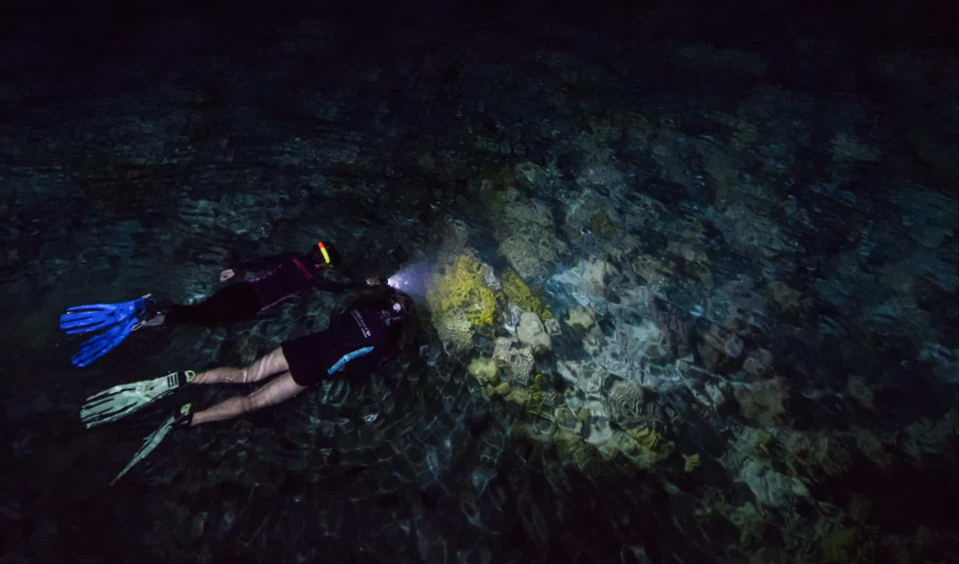 Full Moon Snorkeling Night